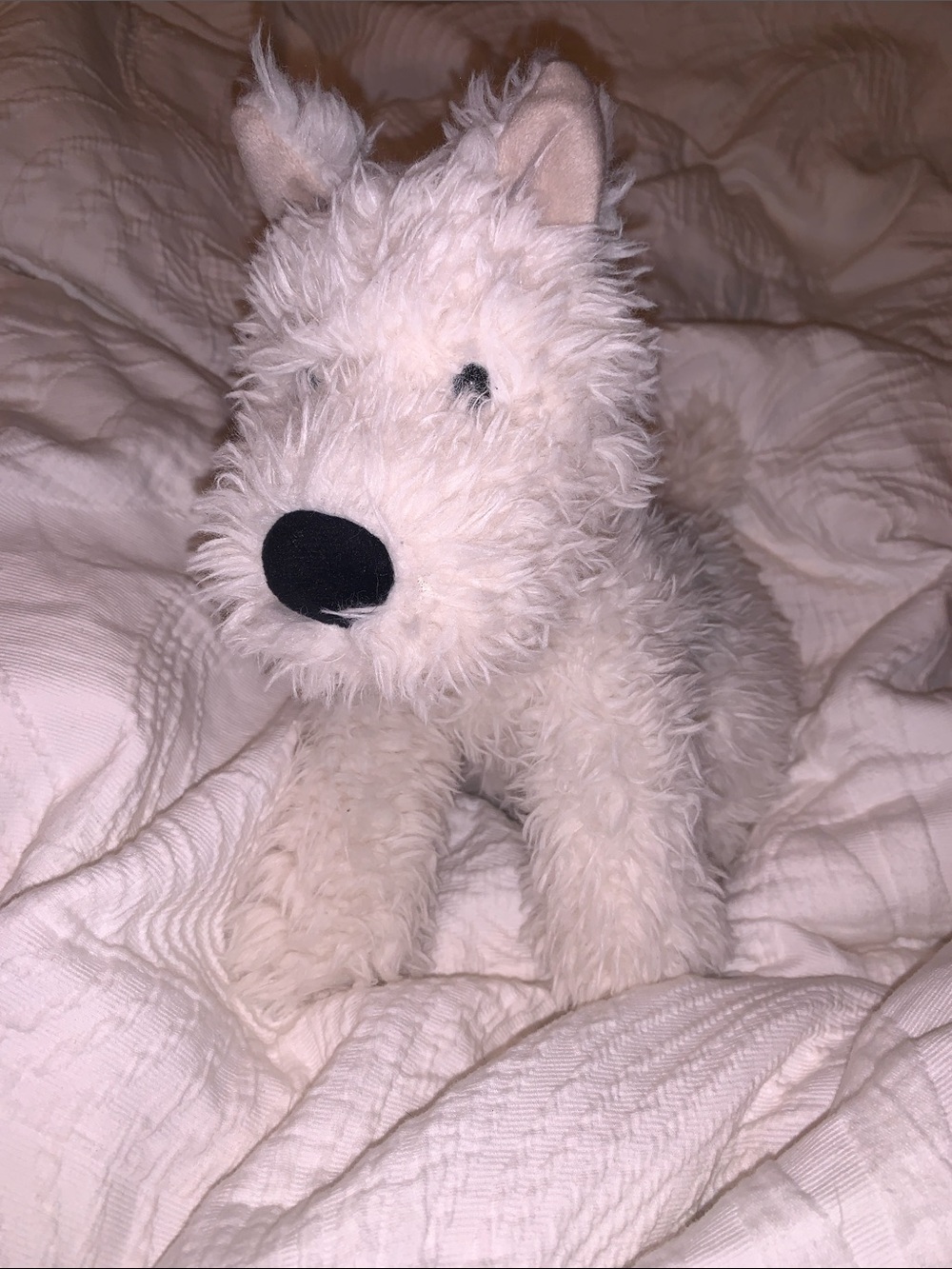 Jellycat Munro Scottie Dog